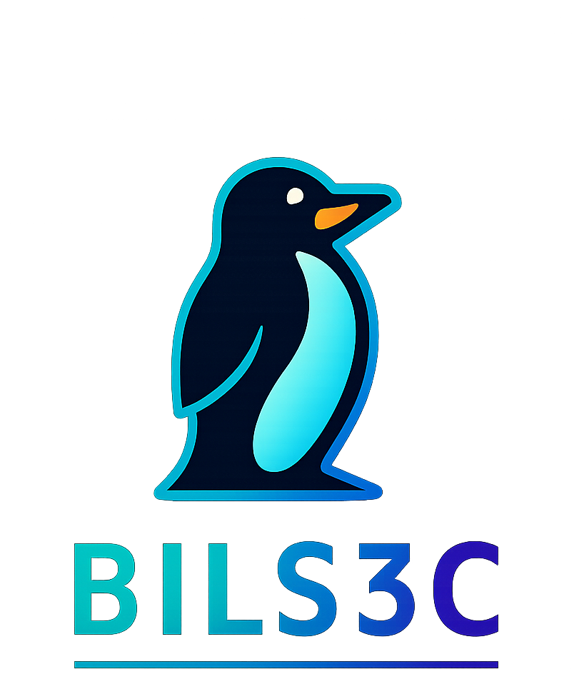 BILS3C - Cyber Security Solutions